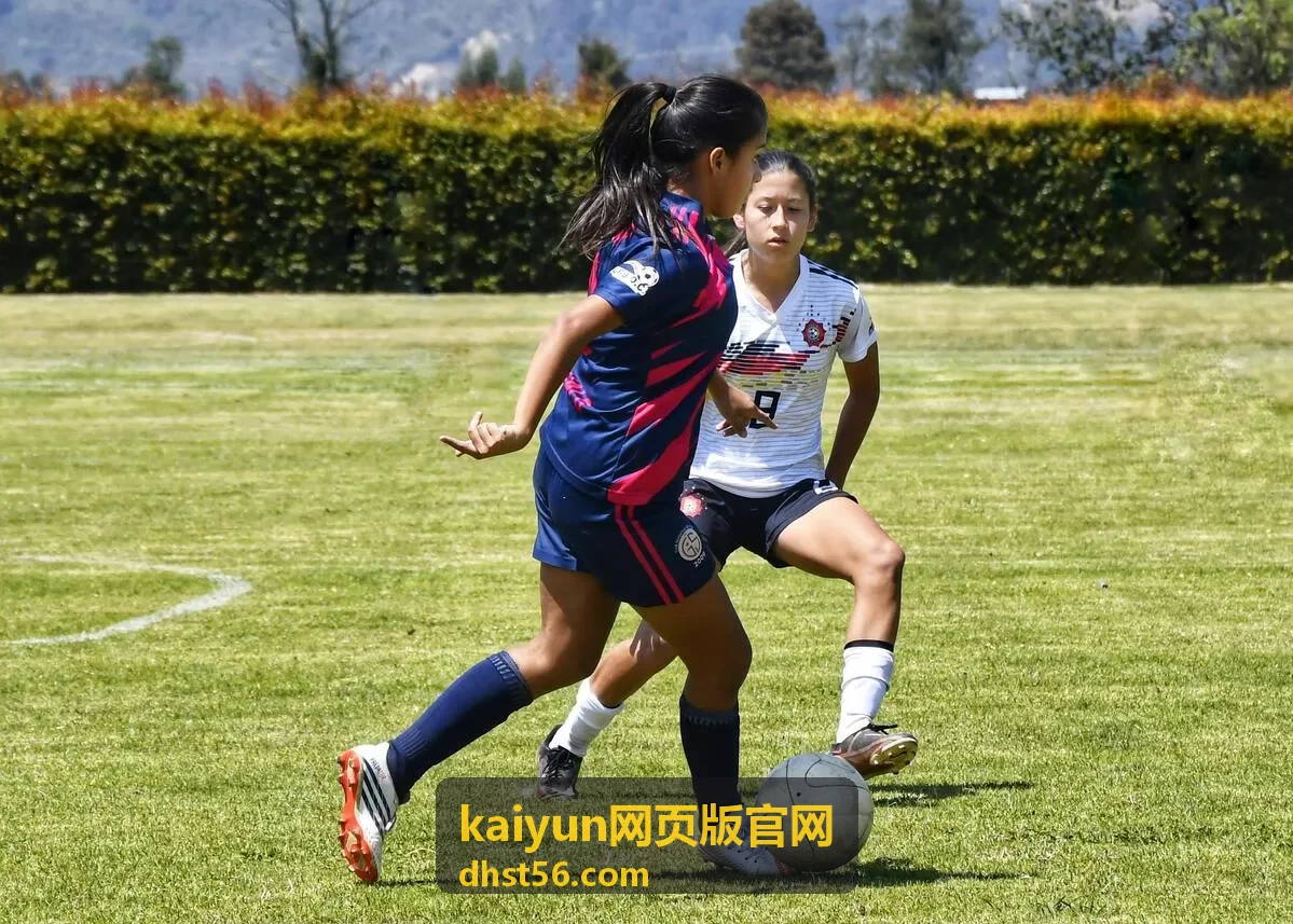 kaiyun网页版官网功能模块相关推荐配图